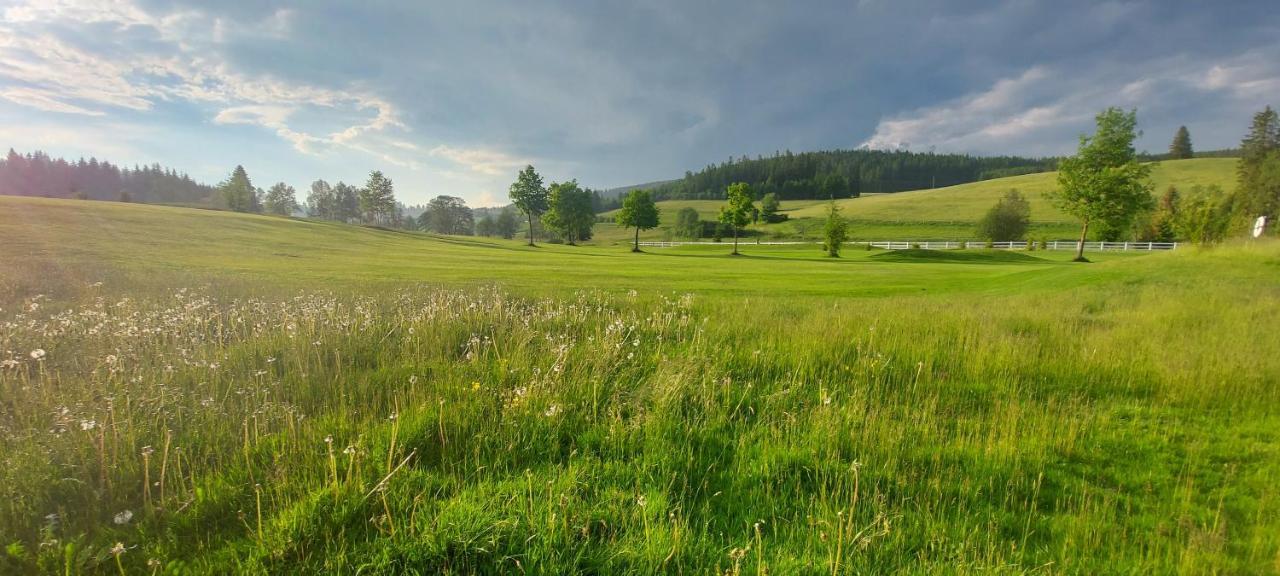Gasthof Lafette Hinterzarten Εξωτερικό φωτογραφία